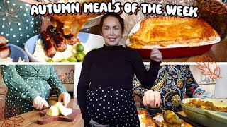 Budget Autumnal Meals We Ate This Week  October 2024 [upl. by Marquita51]