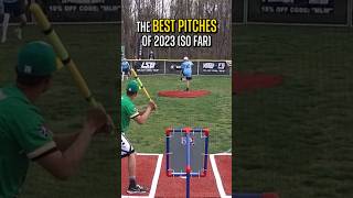 The Best Wiffle Ball Pitches of 2023 [upl. by Ijuy527]