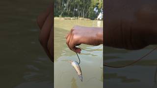 Attractive Jihad Big Plastic Bottle Hook Fishing Videoamazinghookfishingplasticbottleshorts [upl. by Suidaht]