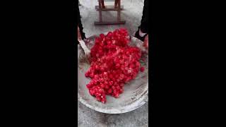 24 homemade fruit fishing tutorial  homemade fruit fishing [upl. by Ahsikar]