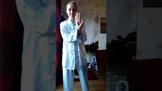 20200323FBcours complet TAICHI bafawubu et QIGONG [upl. by Eelik]