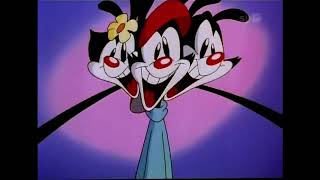 Animaniacs  Intro Endings 11 Finnish [upl. by Anitselec]