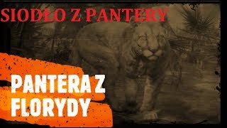 Red Dead Redemption 2  Pantera z Florydy i siodło z pantery [upl. by Larentia436]