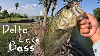 First Time Bass Fishing  Crazy Catch Monte Alto Tx [upl. by Damalis973]