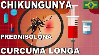 CHIKUNGUNYA  PREDNISOLONA  CURCUMA LONGA  Curcumina [upl. by Orabla]