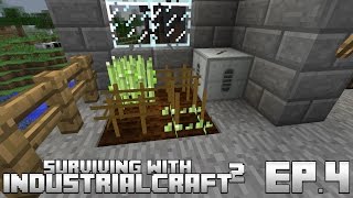 Surviving With IndustrialCraft 2  Ep4  Cross Breeding Crops [upl. by Hama445]