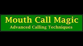 Turkey mouth call instructionquotMouth Call Magicquot with Scott Ellis [upl. by Anauqed267]