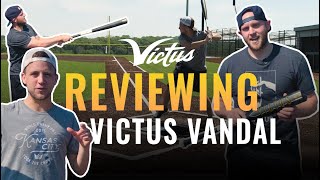 Victus Vandal BBCOR Bat Review [upl. by Nnaeinahpets266]