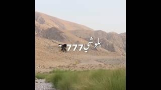 Watan ishq e Man Slow Reverb  Balochi Song Lyrics  Balochi Status  Balochi Girl balochisong [upl. by Ahsaetan]