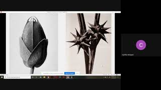 Karl Blossfeldt [upl. by Junius]