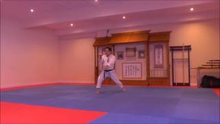 Kata Enpi by SKIF Sensei Katsu TJShuhari Shotokan Karate Association [upl. by Tibbitts]