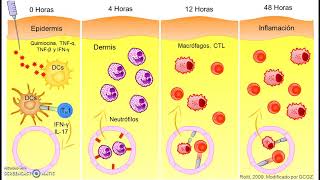 Leishmaniasis visceral  Diagnóstico [upl. by Hayley]