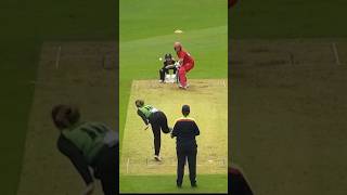 Commentators Laughing At This Stumping cricket shorts [upl. by Llenhoj]