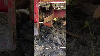 Gear Oil leak Yanmar Tractor automobile agrimachinery farmequipment agriequipments shortvideo [upl. by Cazzie]