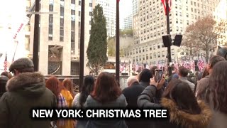 Rockefeller Center Christmas Tree arrives in New York City । Watch [upl. by Colb]