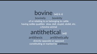 bovine amp antithetical [upl. by Yennep]