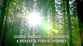 Quick Guided Imagery for Students  Into the Forest An SEL strategy that your students will love [upl. by Angelika]