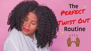 The PERFECT TWISTOUT Routine🌟ITS FOOLPROOF  Type 4 NATURAL HAIR [upl. by Mcgruter]