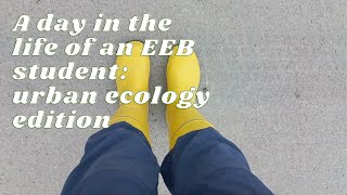 A day in the life of an Ecology and Evolutionary Biology student  University of Helsinki [upl. by Llehsim]