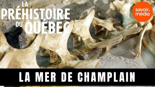 La mer de Champlain  La préhistoire du Québec [upl. by Etennaej]