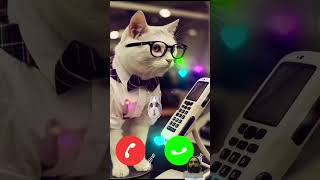 Just you cats ringtone for kids iphone ringtone cat ringtones [upl. by Stearne]