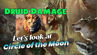 DRUID DampD 524 Damage 2024 Players Handbook [upl. by Viole649]