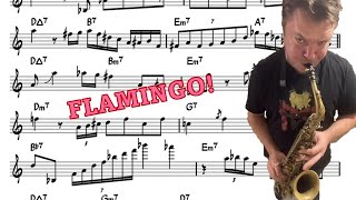 Baptiste Herbin on Flamingo  Eb Transcription [upl. by Airotkiv]