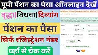 UP Pension Payment Status Kaise Check Kare New Process  UP Pension Check Payment Status 2024 [upl. by Ennayehc]