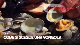 VONGOLE ALLEVATE O SELVAGGE  Come è profondo il mare [upl. by Vezza]