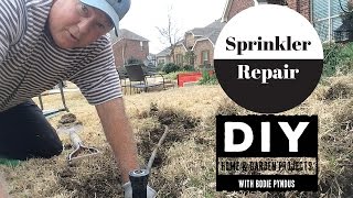 Sprinkler Head Repair Replacement [upl. by Sirak]