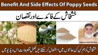 Benefit And Side Effects Of Poppy Seeds  Khashkhash Ke Fayde Aur Nuqsaan [upl. by Rehposirhc]