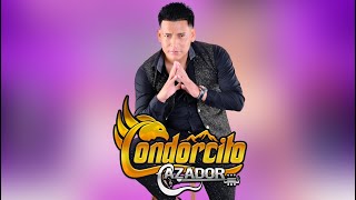 CONDORCITO CAZADOR  VOLVI A VERTE 4k [upl. by Ettevram]