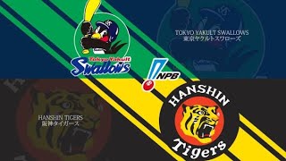 ヤクルトスワローズ vs 阪神タイガース 本日ライブ配信  Yakult swallows vs hanshin tigers Live Baseball match NPB 28092024 [upl. by Aceber159]