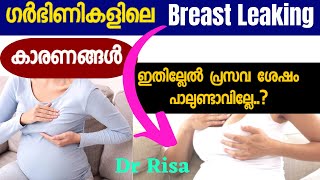 Breast Changes During Pregnancy  Breast Leaking in Pregnacy [upl. by Regina]