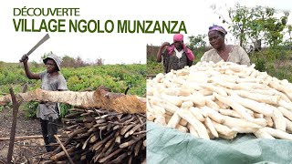 DÉCOUVERTE VILLAGE MBOLO MUNZANZA NA KATI YA LUKUNGA MPUTU KASANGULU NOT COMMENT BOLANDA BINO MOKO [upl. by Furie833]