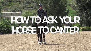 How to ask your horse to canter [upl. by Dias]