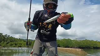 Shimano Nexave 2500HG Baracuda tanggul kavetan [upl. by Nyer]