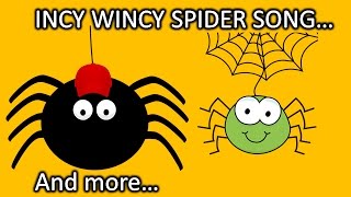 Incy Wincy Spider Song  Nursery Rhyme [upl. by Eusassilem104]