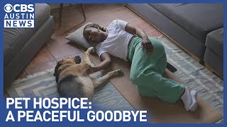 Saying goodbye at home growing trend for pet owners [upl. by Aryamoy]