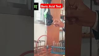 Boric Acid Test Chemistry Experiment By Mk sir short youtube vedio [upl. by Kcireddor60]