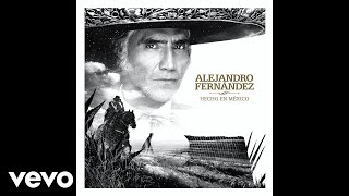 Alejandro Fernández  Decepciones Audio Oficial [upl. by Donela957]