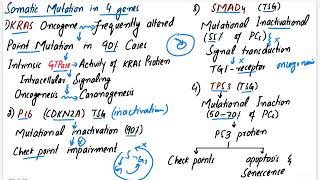 Pancreatic Carcinoma  Robbins pathology chapter 17 pancreas pathology pathology mbbslectures [upl. by Behka]