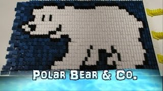 Polar Bear amp Co [upl. by Salguod]