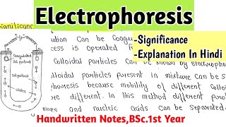 Electrophoresis  Significance  BSc1st Year Handwritten Notes chemistry [upl. by Gnahk]