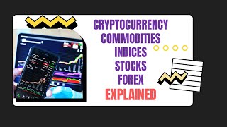 Whats the Difference Forex Cryptocurrency Stocks Indices and Commodities Explained [upl. by Aleirbag261]