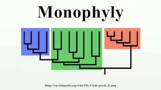 Monophyly [upl. by Nnovahs]