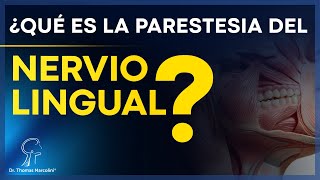 Parestesia del Nervio Lingual ¡Entienda Por Qué su Lengua Quema y Cómo Tratarla [upl. by Schaffel]