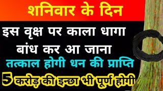 शनिवार के दिन काले धागे मे गांठ लगा कर इस पेड़ पर बांध दे तत्काल होगी धन की प्राप्ति [upl. by Aryad]