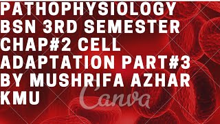 Pathophysiology BSN 3rd semester chap2 Cell Adaptation part3 by Mushrifa Azhar kmu [upl. by Carbone774]