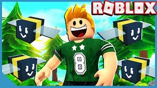 Noob VS Roblox Bee Swarm Simulator [upl. by Anilam]